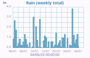 Rain